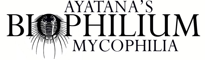 MYCOPHILIA